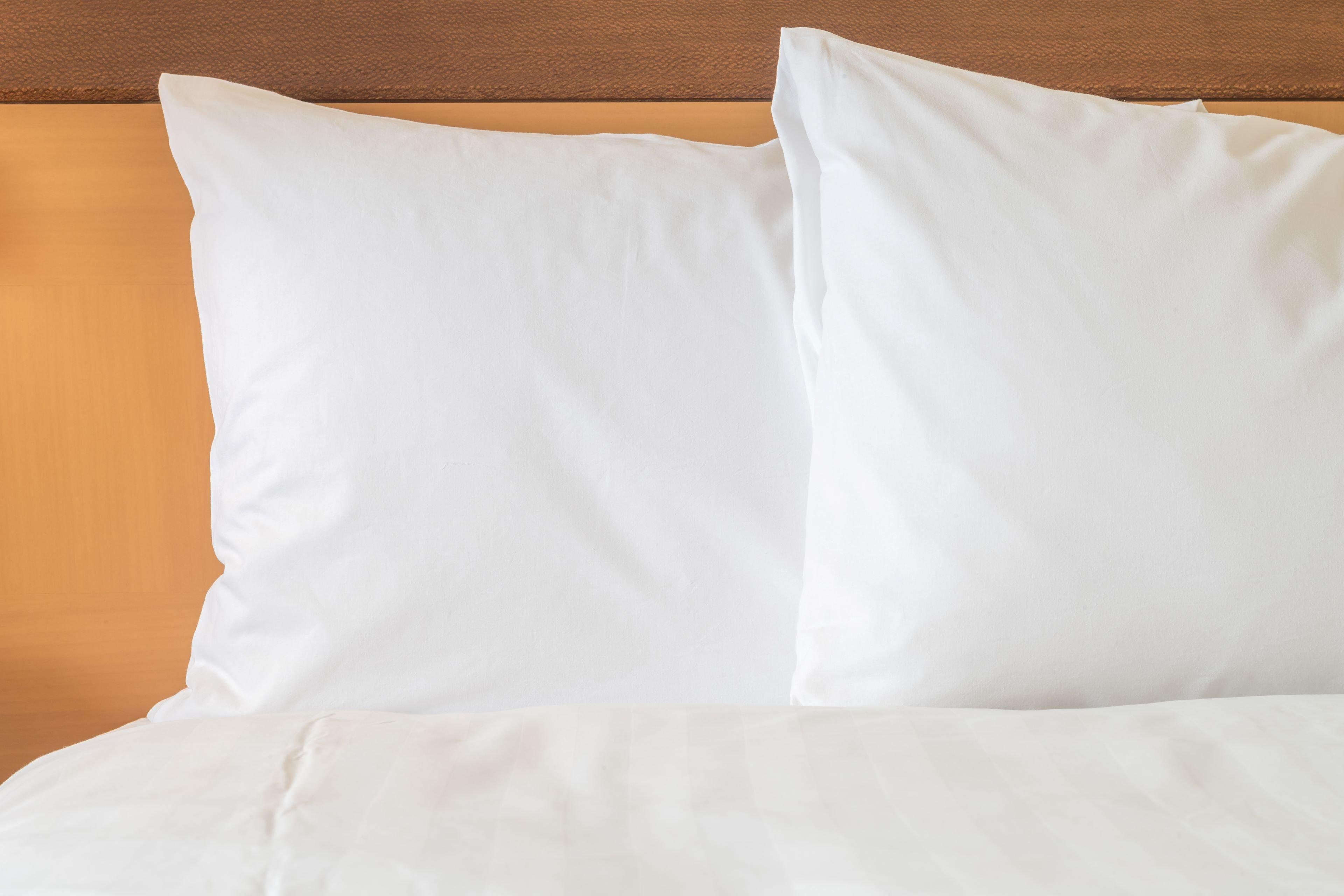 Ana Crowne Plaza Yonago By Ihg Hotel Ngoại thất bức ảnh